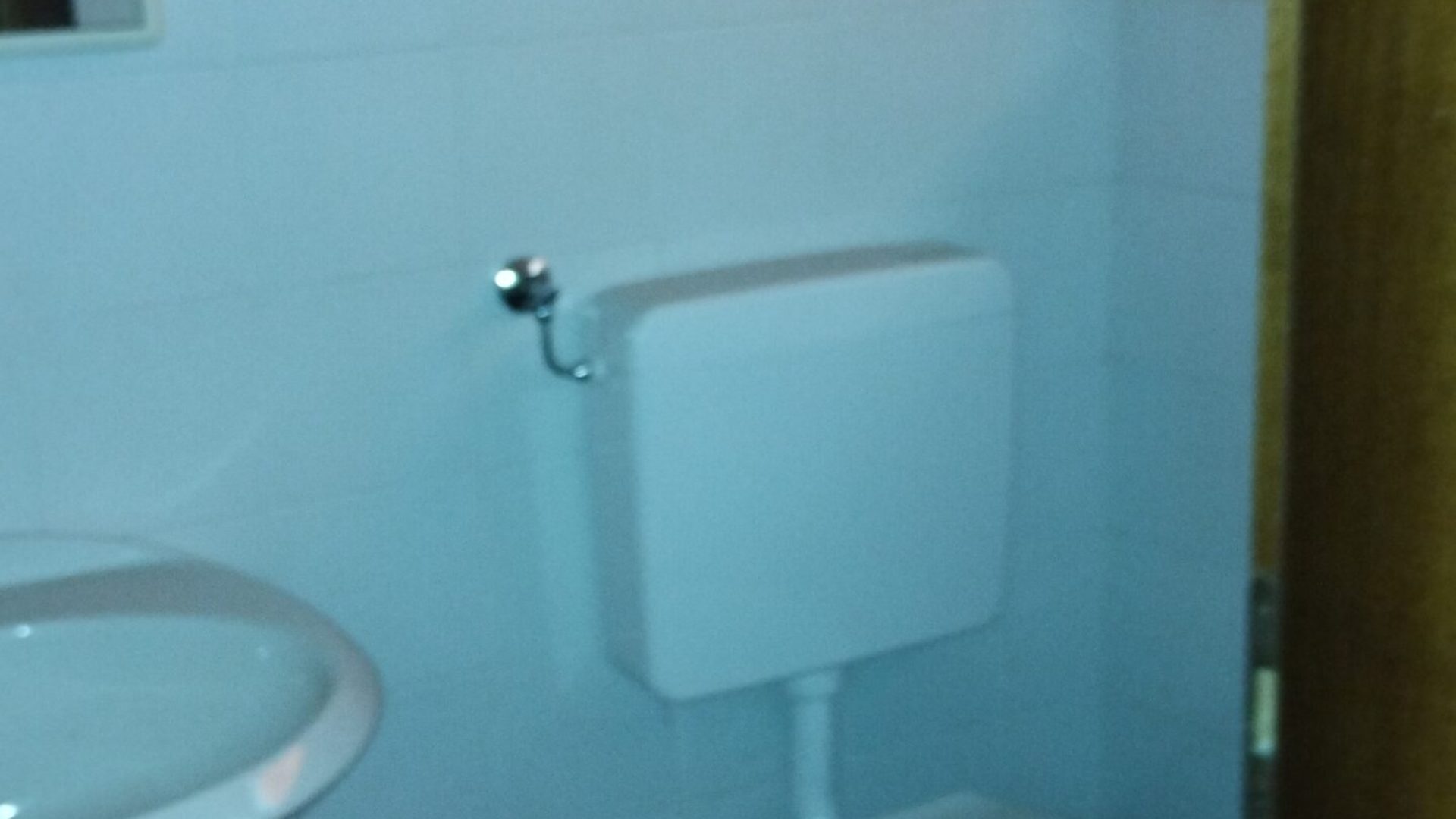 negozio-affitto-belluno (10)