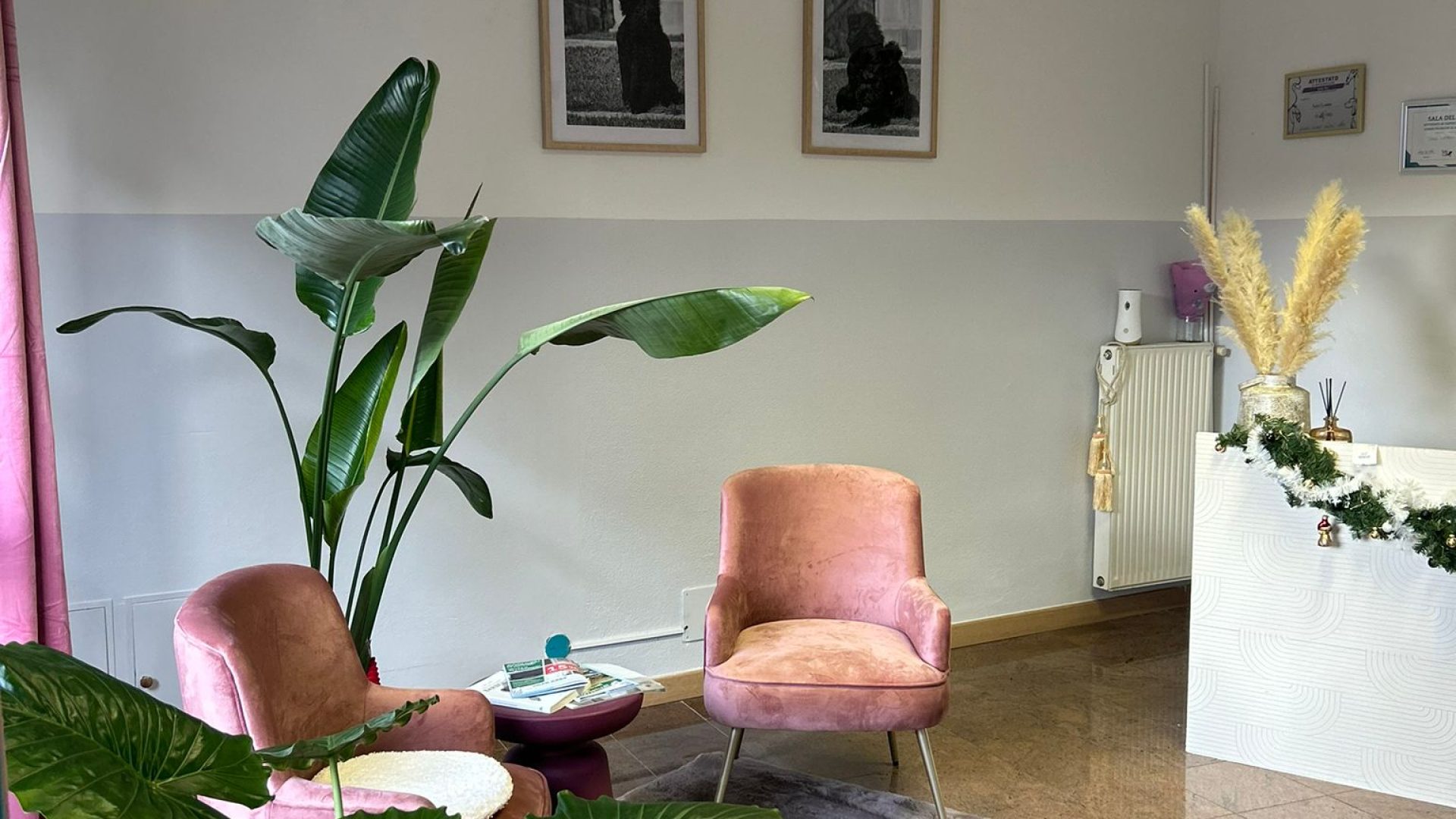 negozio centrale a feltre con due stanze (3)