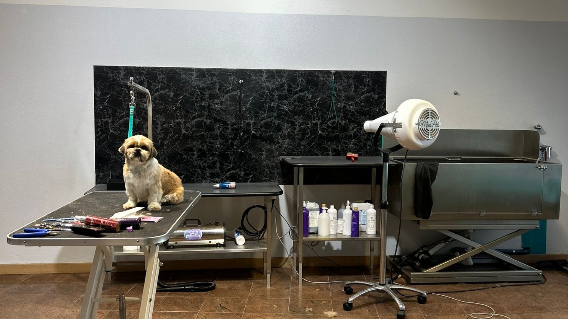 negozio centrale a feltre con due stanze (4)